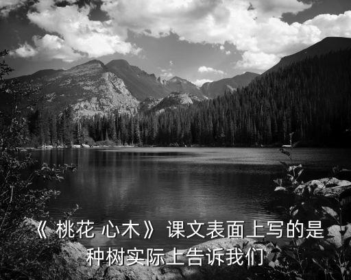 桃花心木課文,第三集:桃花心木引出第三奇