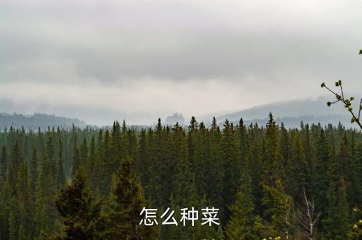種菜怎么種，怎么種菜呢