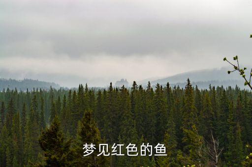夢見紅魚，做夢夢見紅魚什么意思