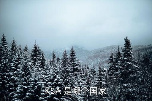 沙特阿拉伯英文，沙特阿拉伯的英文