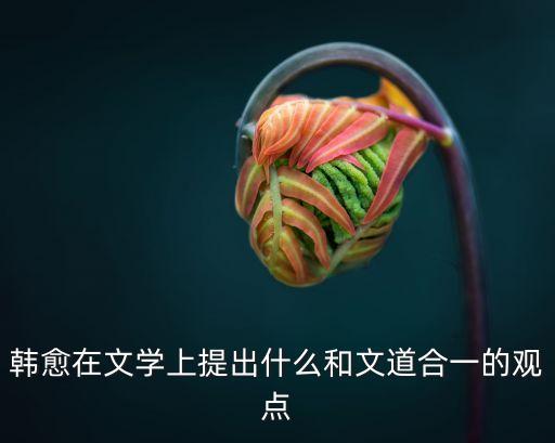 韓愈在文學上提出什么和文道合一的觀點