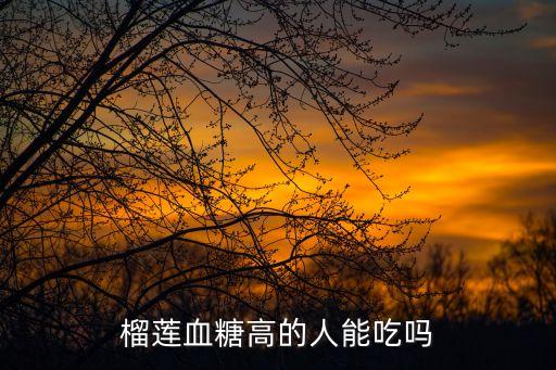 血糖高能吃榴蓮嗎，高血糖可以吃榴蓮嗎