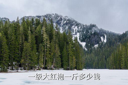 大紅袍多少錢一斤，大紅袍多少錢一斤啊