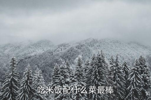 米飯配菜，大米飯配什么菜好吃