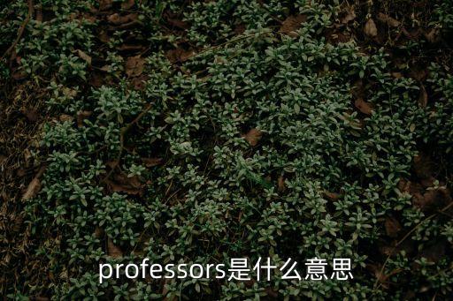 professors是什么意思