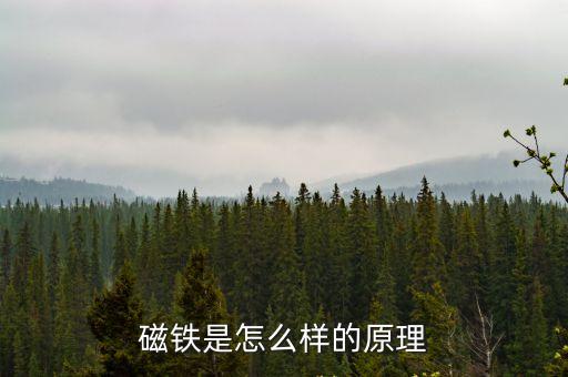 磁鐵是怎么樣的原理