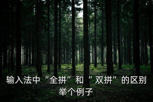 輸入法中“全拼”和“ 雙拼”的區(qū)別舉個例子