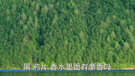 黑 鴉片 香水里面有麝香嗎