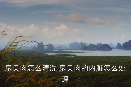 扇貝肉怎么清洗，扇貝肉怎么清洗 扇貝肉的內臟怎么處理