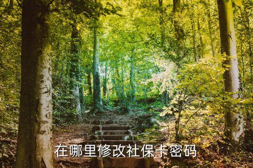 社保卡密碼怎么改，怎么修改社保卡上的使用密碼