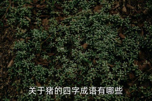 關于豬的四字成語有哪些