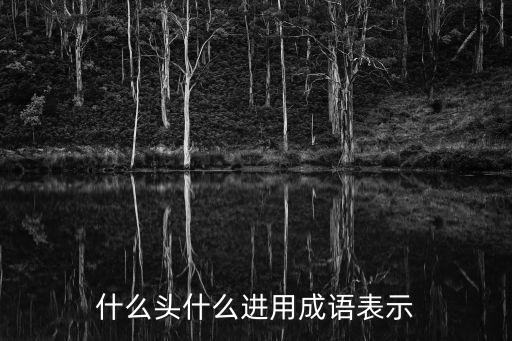 什么頭什么進用成語表示