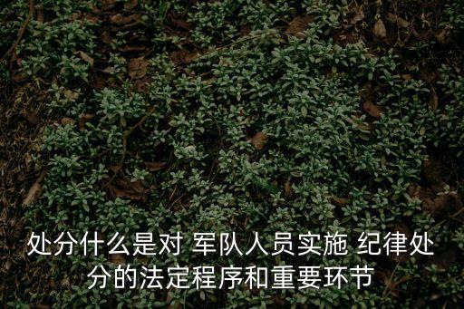 軍隊紀律,中國人民解放軍紀律處分程序如何?