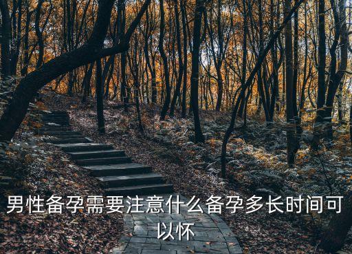 男性備孕需要注意什么備孕多長時間可以懷