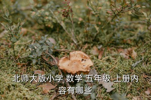 五年級數(shù)學(xué)上冊教案,北師大版五年級-2上冊全書教案第2頁