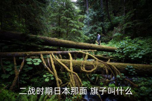 二戰時期日本那面 旗子叫什么