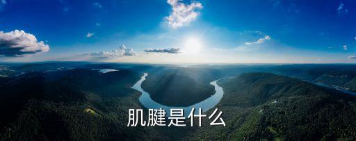 肌腱，肌腱是什么