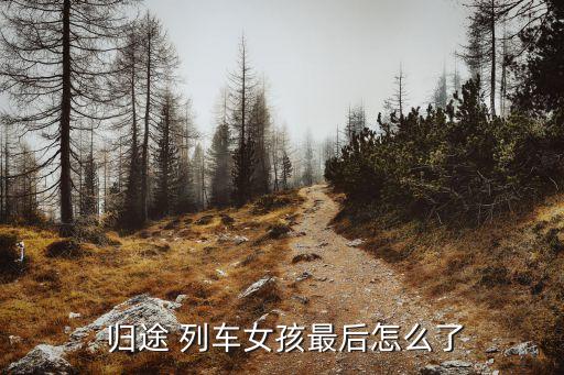  歸途 列車女孩最后怎么了