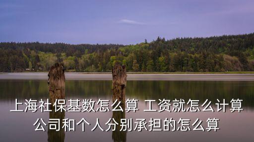 上海市每年的社?；鶖凳嵌嗌?，上海社保基數怎么算 工資就怎么計算公司和個人分別承擔的怎么算
