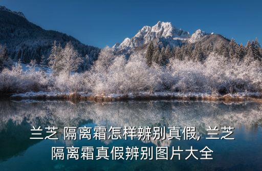 蘭芝隔離霜,蘭芝隔離面霜真偽可從包裝印刷、瓶身等判斷