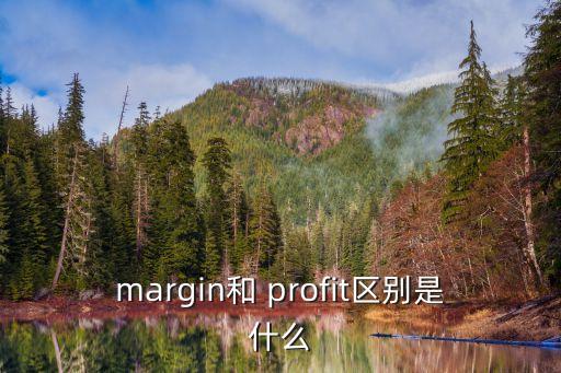 profit,財政預(yù)算案2021