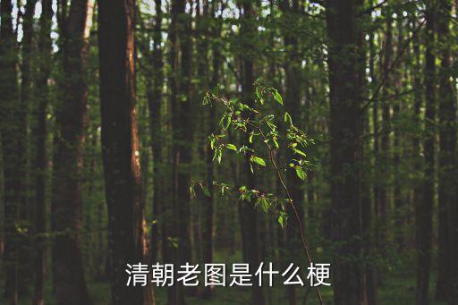 清朝老圖是什么梗