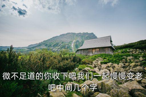微不足道的你收下吧我們一起慢慢變老吧中間幾個字