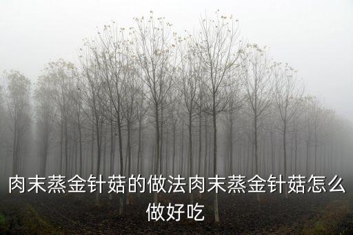 肉末蒸金針菇的做法肉末蒸金針菇怎么做好吃