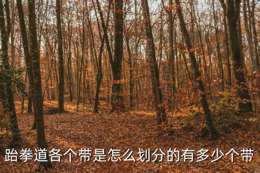 三級黃帶，黃帶是跆拳道幾級