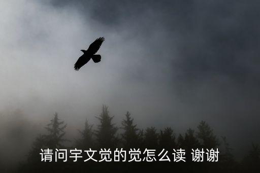 請問宇文覺的覺怎么讀 謝謝