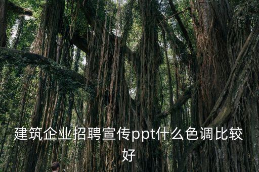 建筑企業(yè)招聘宣傳ppt什么色調(diào)比較好