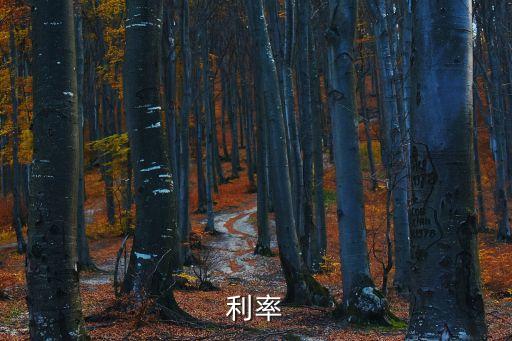 利率等于，利率