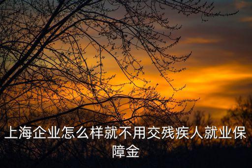 上海企業怎么樣就不用交殘疾人就業保障金