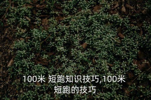 100米 短跑知識技巧,100米 短跑的技巧