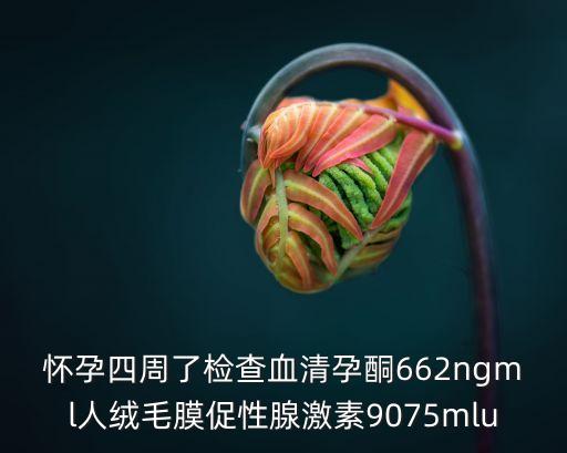 懷孕四周了檢查血清孕酮662ngml人絨毛膜促性腺激素9075mlu