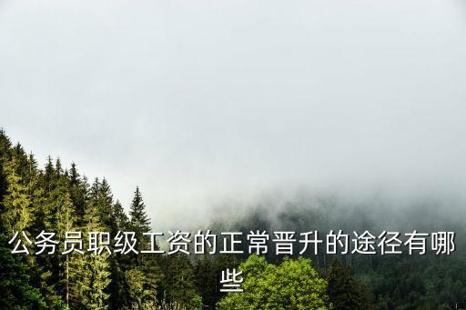 職級工資，大專公務員職務工資和級別工資的問題