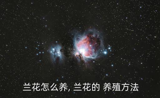  蘭花怎么養(yǎng), 蘭花的 養(yǎng)殖方法