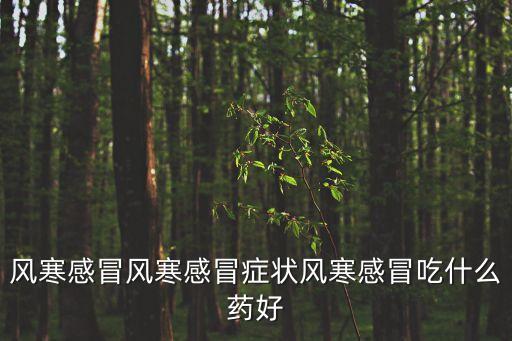 風寒感冒風寒感冒癥狀風寒感冒吃什么藥好