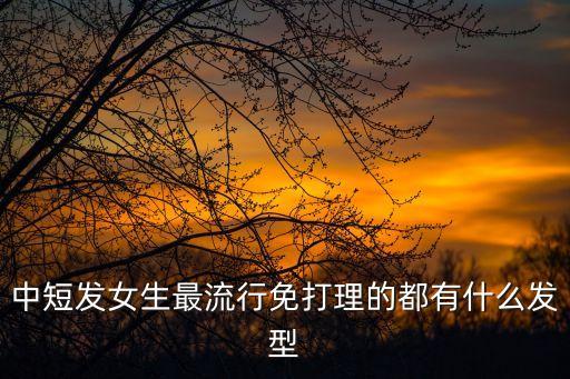 中短發(fā)女生最流行免打理的都有什么發(fā)型