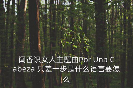 差一步歌詞，聞香識女人主題曲Por Una Cabeza 只差一步是什么語言要怎么