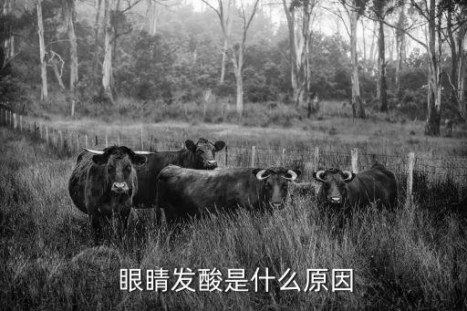 眼睛酸痛是什么原因,眼睛酸痛主要由干眼癥和視疲勞引起