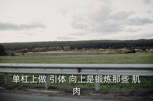 單杠上做 引體 向上是鍛煉那些 肌肉