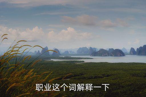 職業(yè)這個(gè)詞解釋一下
