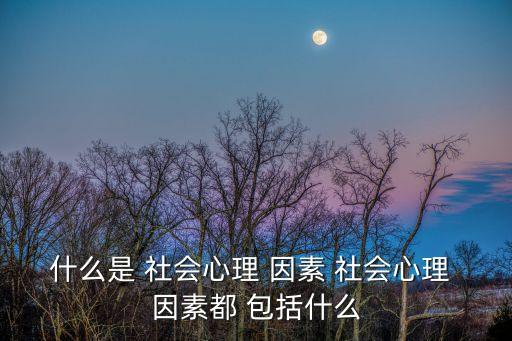 什么是 社會心理 因素 社會心理 因素都 包括什么