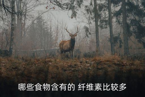 纖維素多的食物,高纖維素食的營養有哪些?