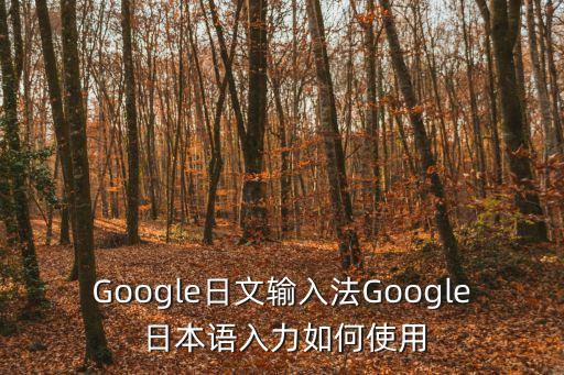 google日語輸入法，Google日語輸入法