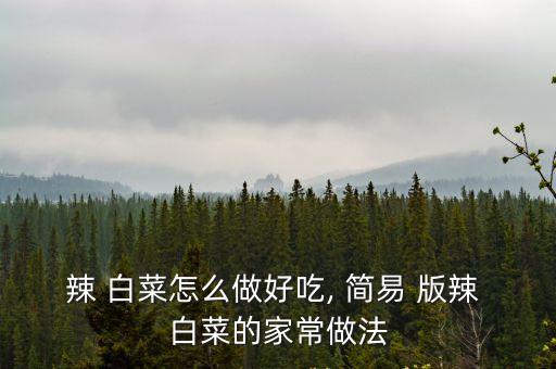 辣 白菜怎么做好吃, 簡易 版辣 白菜的家常做法
