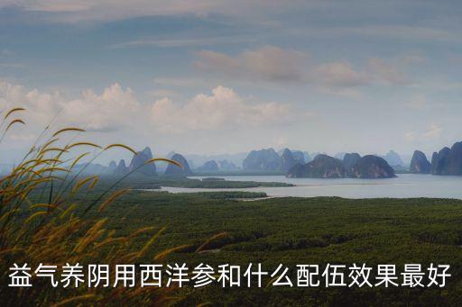 益氣養陰用西洋參和什么配伍效果最好