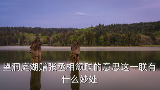 望洞庭湖贈張丞相頷聯的意思這一聯有什么妙處