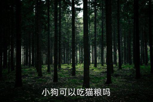 狗狗能吃貓糧嗎，小狗可以吃貓糧嗎